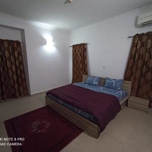 picom_property_1- (4)