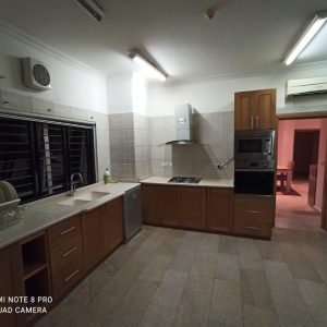 picom_property_1- (5)